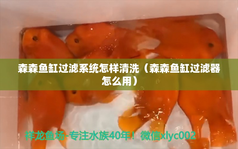 森森鱼缸过滤系统怎样清洗（森森鱼缸过滤器怎么用） 过滤设备