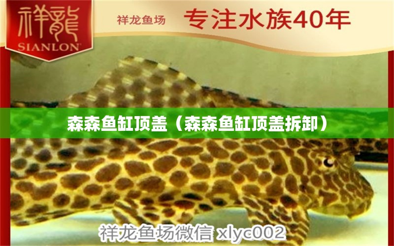 森森鱼缸顶盖（森森鱼缸顶盖拆卸） 广州龙鱼批发市场