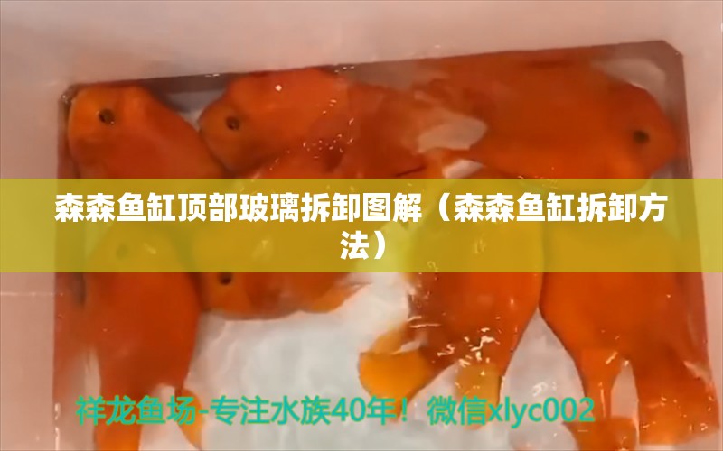 森森鱼缸顶部玻璃拆卸图解（森森鱼缸拆卸方法） 森森鱼缸