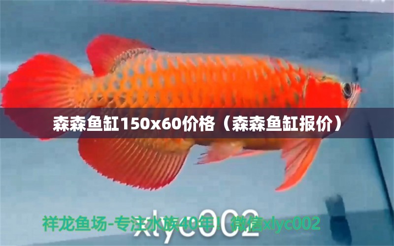 森森鱼缸150x60价格（森森鱼缸报价）
