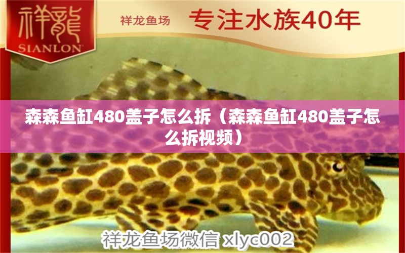 森森鱼缸480盖子怎么拆（森森鱼缸480盖子怎么拆视频）