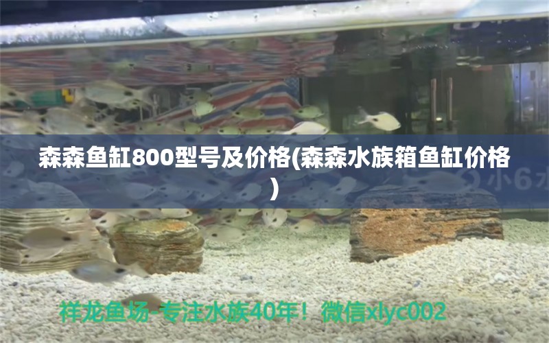 森森鱼缸800型号及价格(森森水族箱鱼缸价格) 鱼缸/水族箱