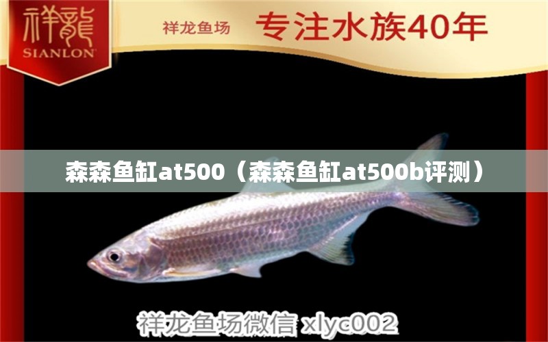 森森鱼缸at500（森森鱼缸at500b评测） 森森鱼缸