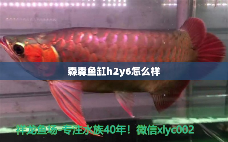 森森鱼缸h2y6怎么样 森森鱼缸 第2张