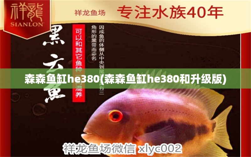 森森鱼缸he380(森森鱼缸he380和升级版) 飞凤鱼