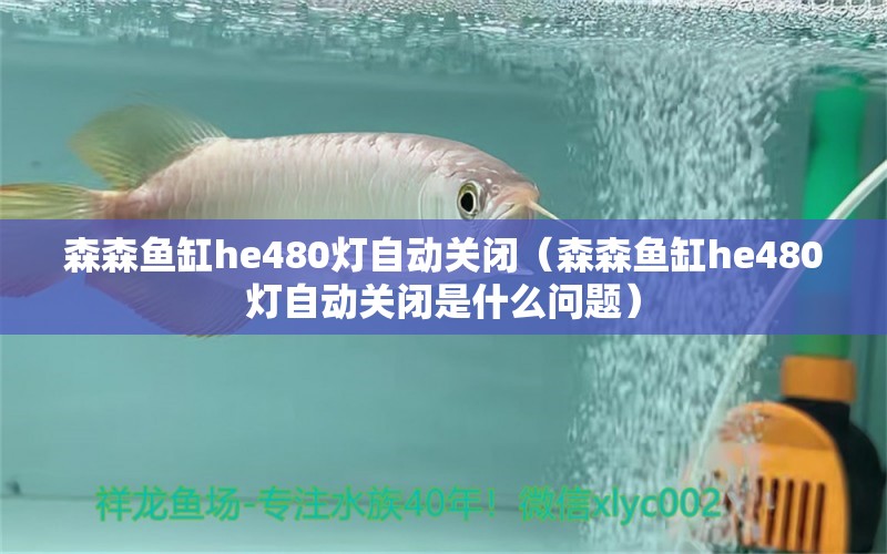 森森鱼缸he480灯自动关闭（森森鱼缸he480灯自动关闭是什么问题）