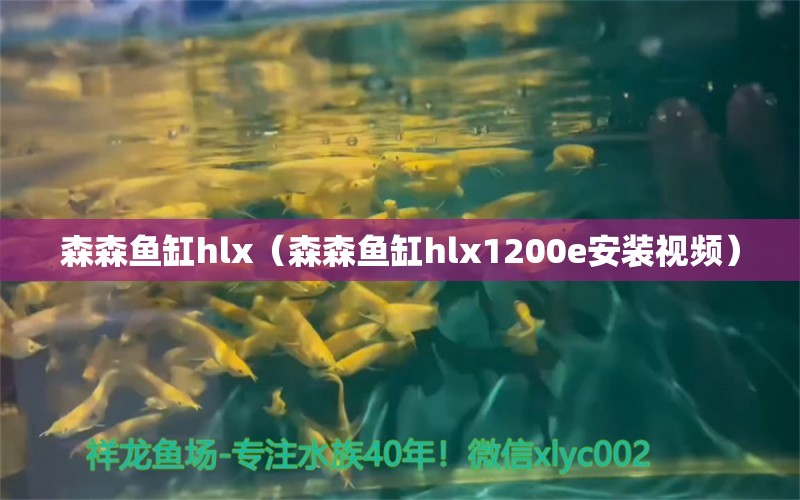 森森鱼缸hlx（森森鱼缸hlx1200e安装视频）