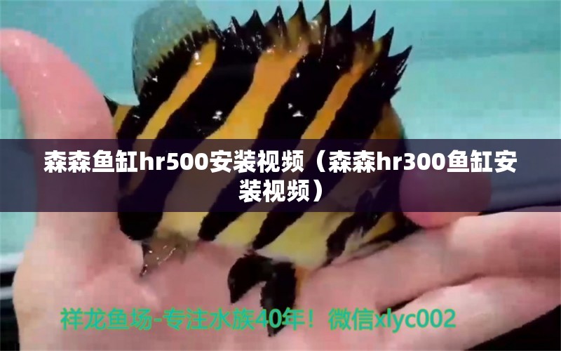 森森鱼缸hr500安装视频（森森hr300鱼缸安装视频）