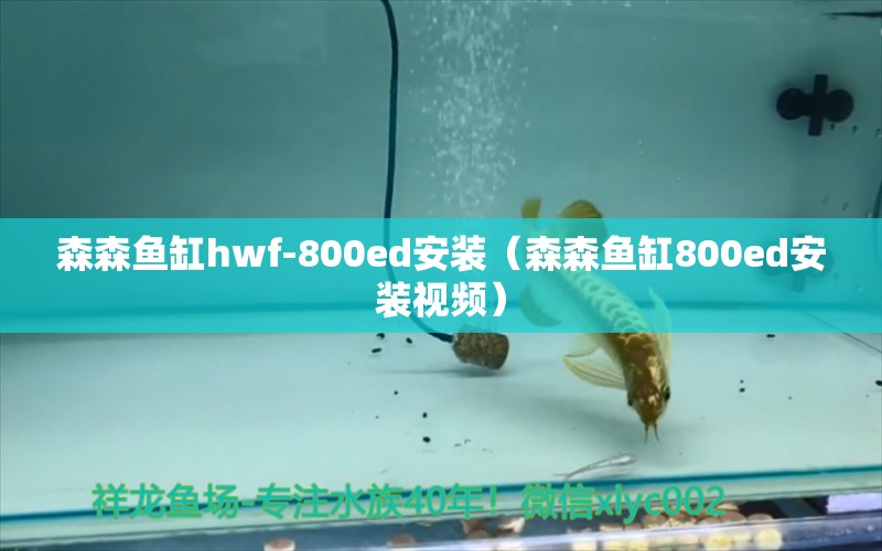森森鱼缸hwf-800ed安装（森森鱼缸800ed安装视频）