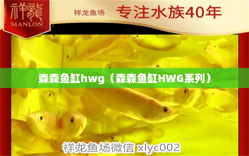 森森鱼缸hwg（森森鱼缸HWG系列） 森森鱼缸