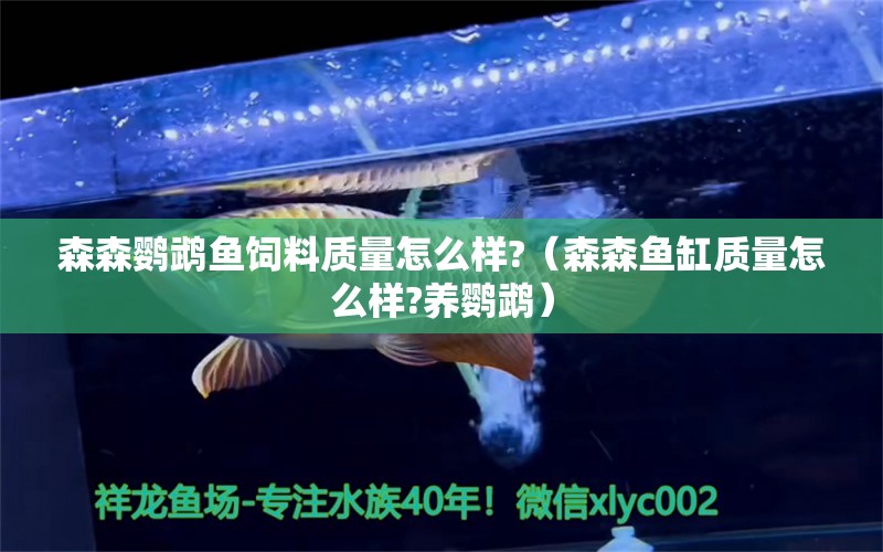 森森鹦鹉鱼饲料质量怎么样?（森森鱼缸质量怎么样?养鹦鹉） 鹦鹉鱼