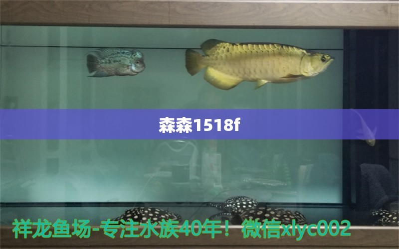 森森1518f