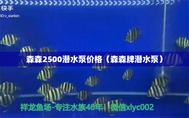 森森2500潜水泵价格（森森牌潜水泵）