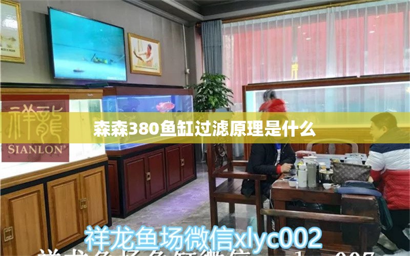 森森380鱼缸过滤原理是什么 森森鱼缸 第1张