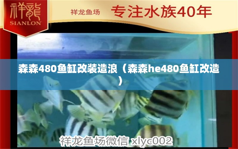 森森480鱼缸改装造浪（森森he480鱼缸改造）