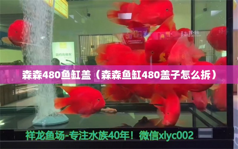 森森480鱼缸盖（森森鱼缸480盖子怎么拆）