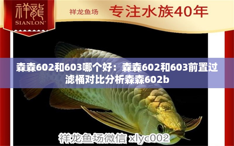 森森602和603哪个好：森森602和603前置过滤桶对比分析森森602b