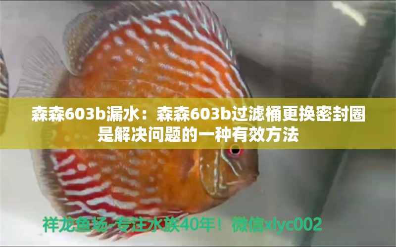 森森603b漏水：森森603b过滤桶更换密封圈是解决问题的一种有效方法