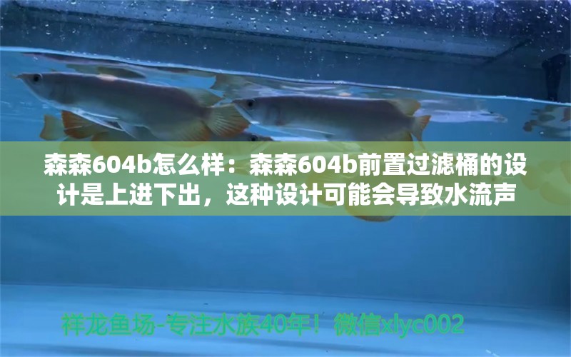 森森604b怎么样：森森604b前置过滤桶的设计是上进下出，这种设计可能会导致水流声