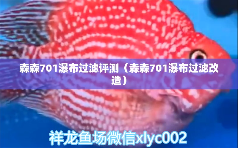 森森701瀑布过滤评测（森森701瀑布过滤改造）