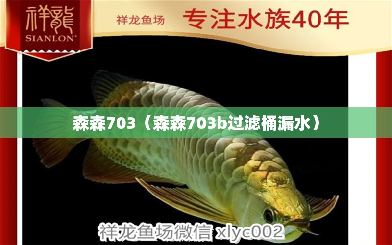 森森703（森森703b过滤桶漏水） 森森鱼缸