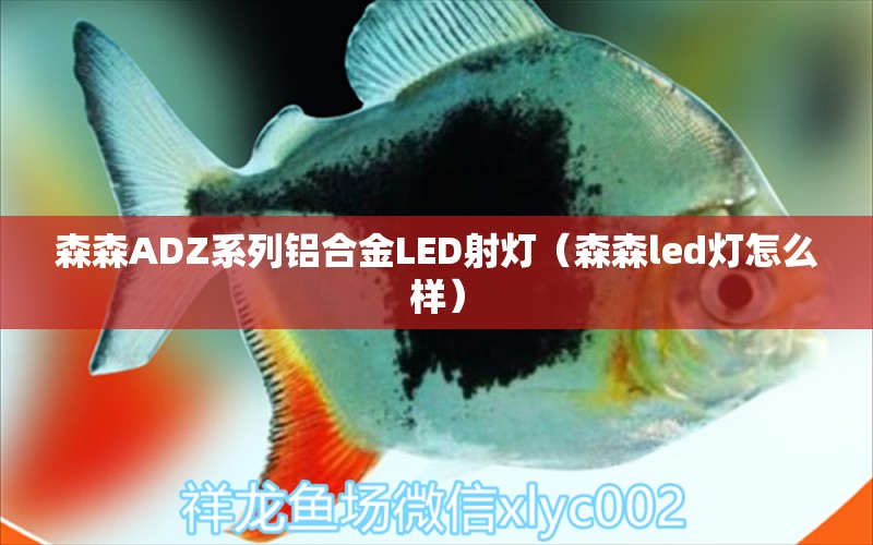 森森ADZ系列铝合金LED射灯（森森led灯怎么样）