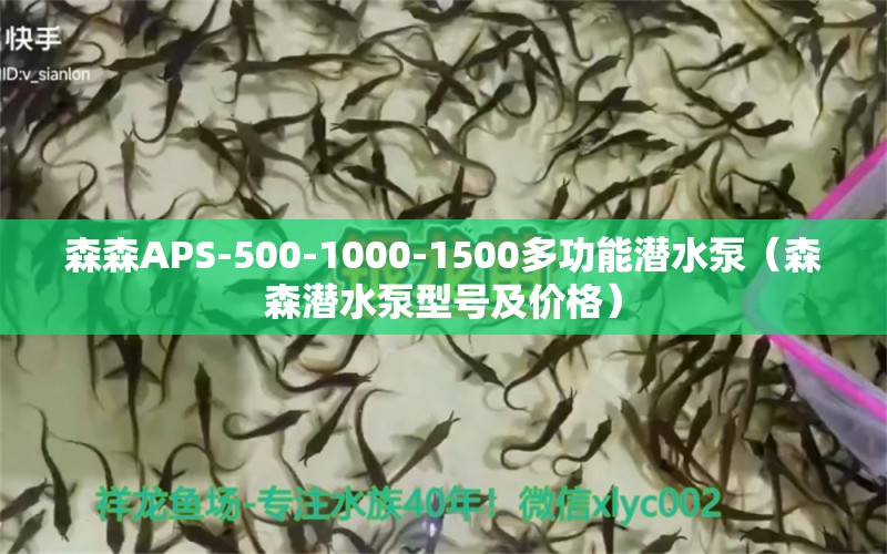 森森APS-500-1000-1500多功能潜水泵（森森潜水泵型号及价格）