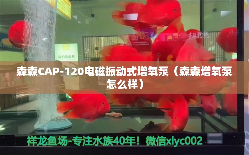 森森CAP-120电磁振动式增氧泵（森森增氧泵怎么样） 森森鱼缸