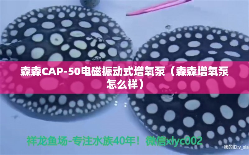 森森CAP-50电磁振动式增氧泵（森森增氧泵怎么样）