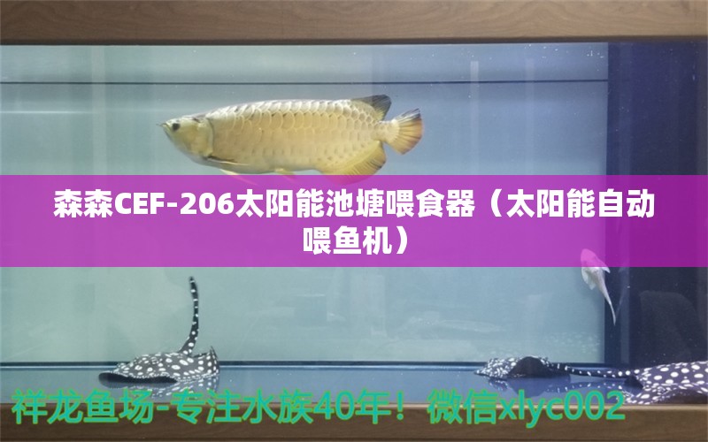 森森CEF-206太阳能池塘喂食器（太阳能自动喂鱼机）