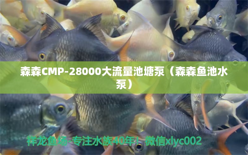 森森CMP-28000大流量池塘泵（森森鱼池水泵）