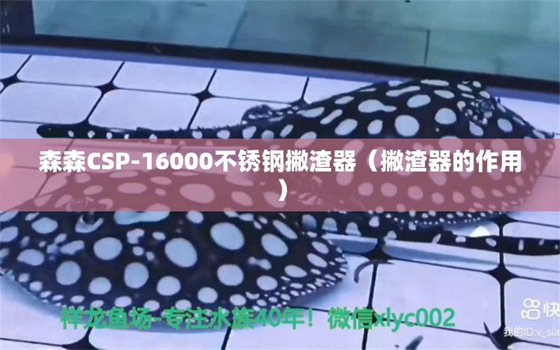 森森CSP-16000不锈钢撇渣器（撇渣器的作用） 森森鱼缸