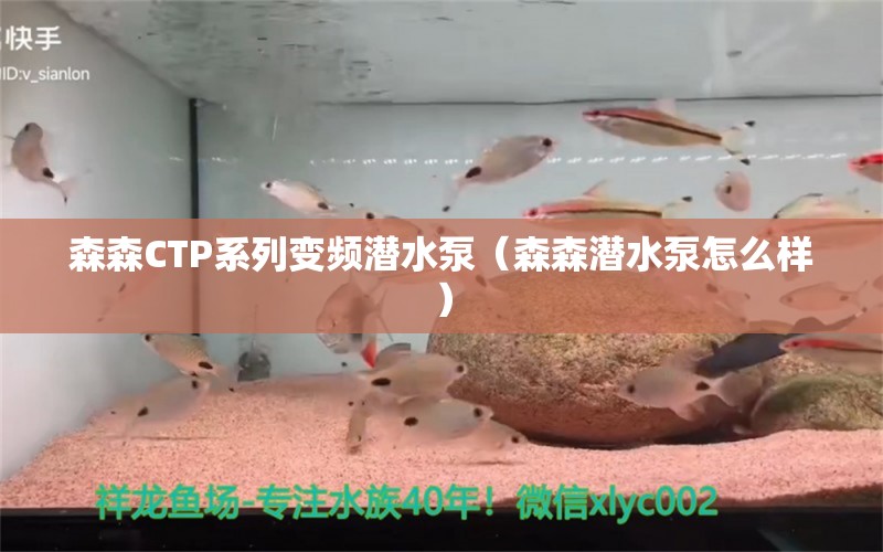 森森CTP系列变频潜水泵（森森潜水泵怎么样）