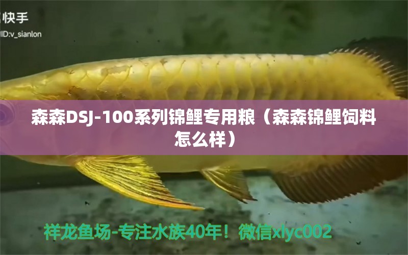 森森DSJ-100系列锦鲤专用粮（森森锦鲤饲料怎么样） 森森鱼缸