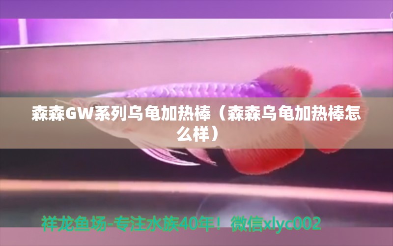 森森GW系列乌龟加热棒（森森乌龟加热棒怎么样）