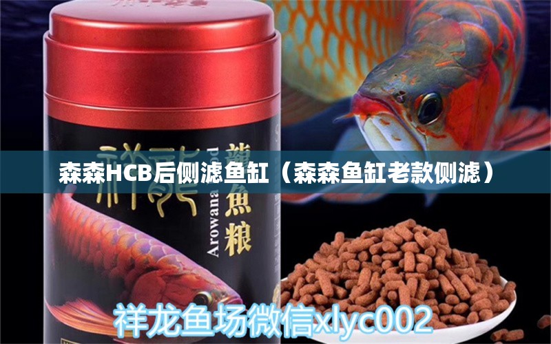 森森HCB后侧滤鱼缸（森森鱼缸老款侧滤）