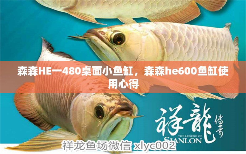 森森HE一480桌面小鱼缸，森森he600鱼缸使用心得