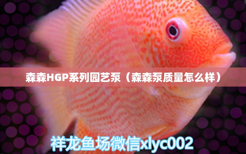 森森HGP系列园艺泵（森森泵质量怎么样） 森森鱼缸