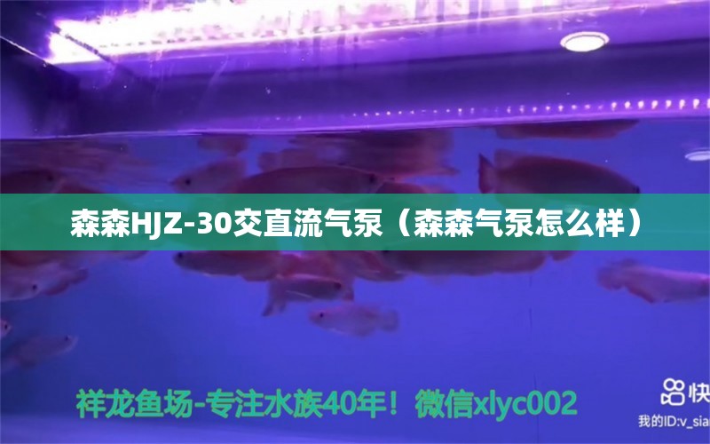 森森HJZ-30交直流气泵（森森气泵怎么样）