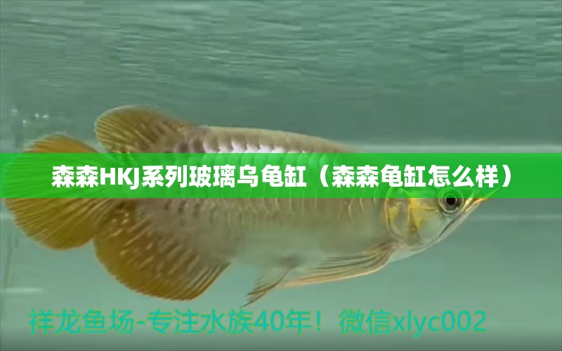 森森HKJ系列玻璃乌龟缸（森森龟缸怎么样） 乌龟