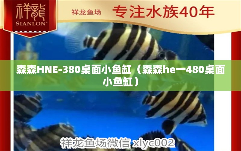 森森HNE-380桌面小鱼缸（森森he一480桌面小鱼缸）