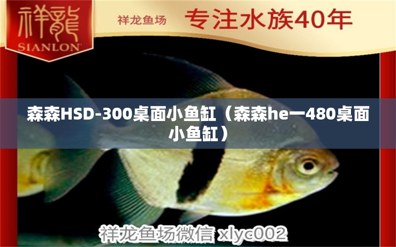 森森HSD-300桌面小鱼缸（森森he一480桌面小鱼缸）