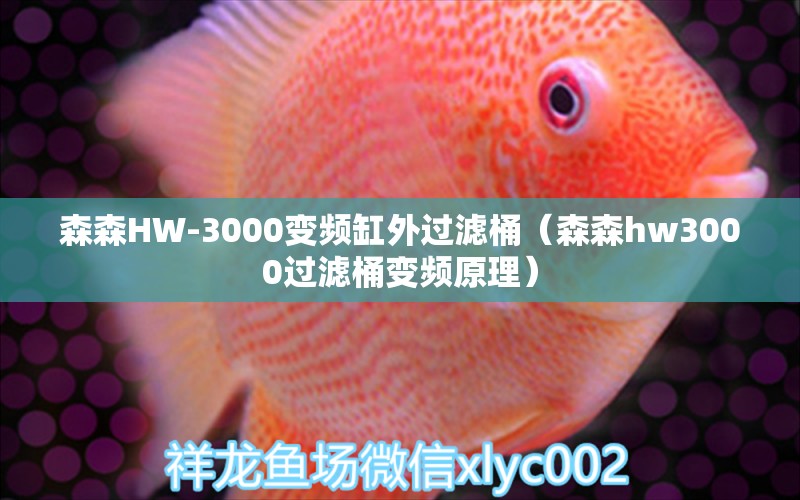 森森HW-3000变频缸外过滤桶（森森hw3000过滤桶变频原理）