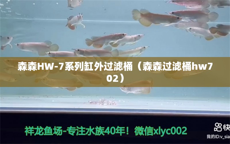 森森HW-7系列缸外过滤桶（森森过滤桶hw702）