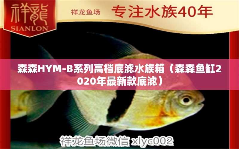 森森HYM-B系列高档底滤水族箱（森森鱼缸2020年最新款底滤）