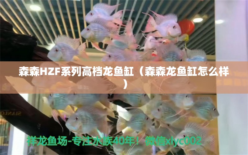 森森HZF系列高档龙鱼缸（森森龙鱼缸怎么样） 森森鱼缸