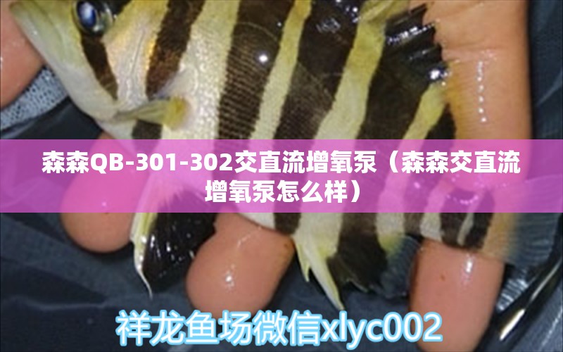 森森QB-301-302交直流增氧泵（森森交直流增氧泵怎么样） 森森鱼缸