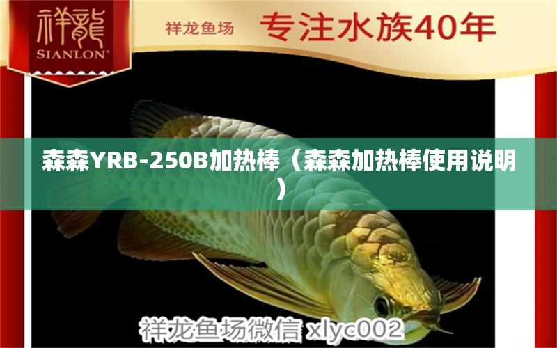 森森YRB-250B加热棒（森森加热棒使用说明）