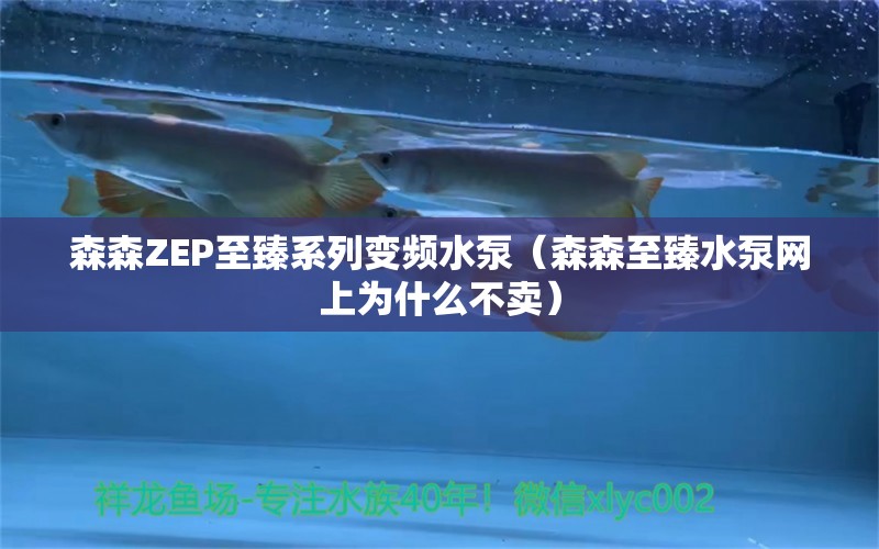 森森ZEP至臻系列变频水泵（森森至臻水泵网上为什么不卖）