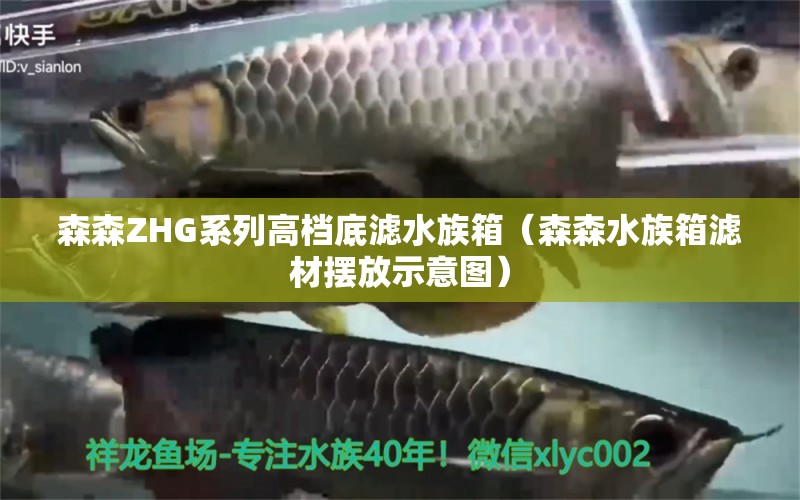 森森ZHG系列高档底滤水族箱（森森水族箱滤材摆放示意图）